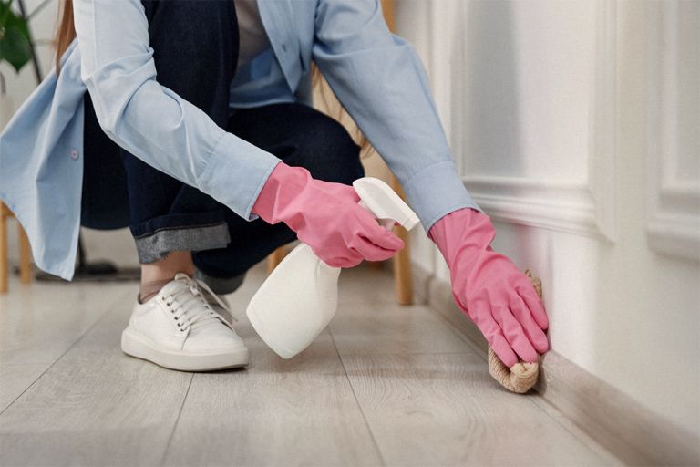 Does Home Insurance Cover Mold?