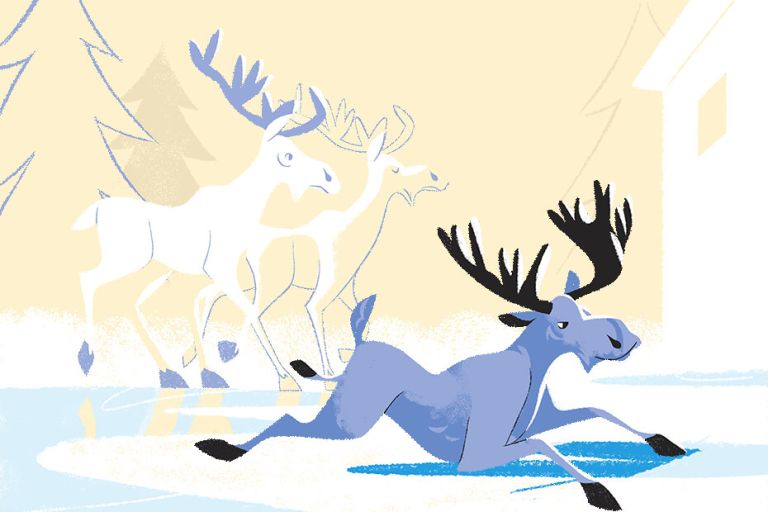 Stay Active in the Snowy Season – A Guide for Runners and Power Walkers this Winter